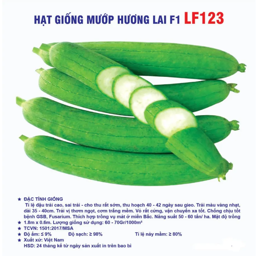 Hạt giống Mướp hương lai F1 LF123
