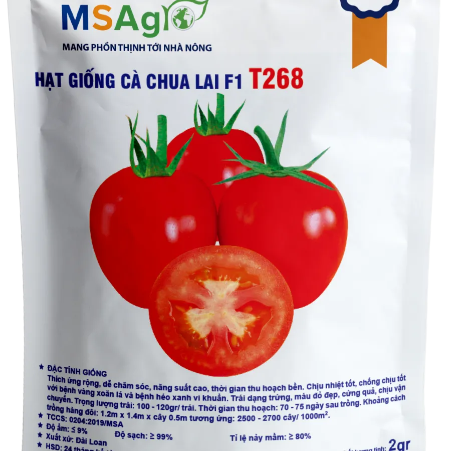 Hạt giống Cà chua chịu nhiệt F1 T268 - 2gr