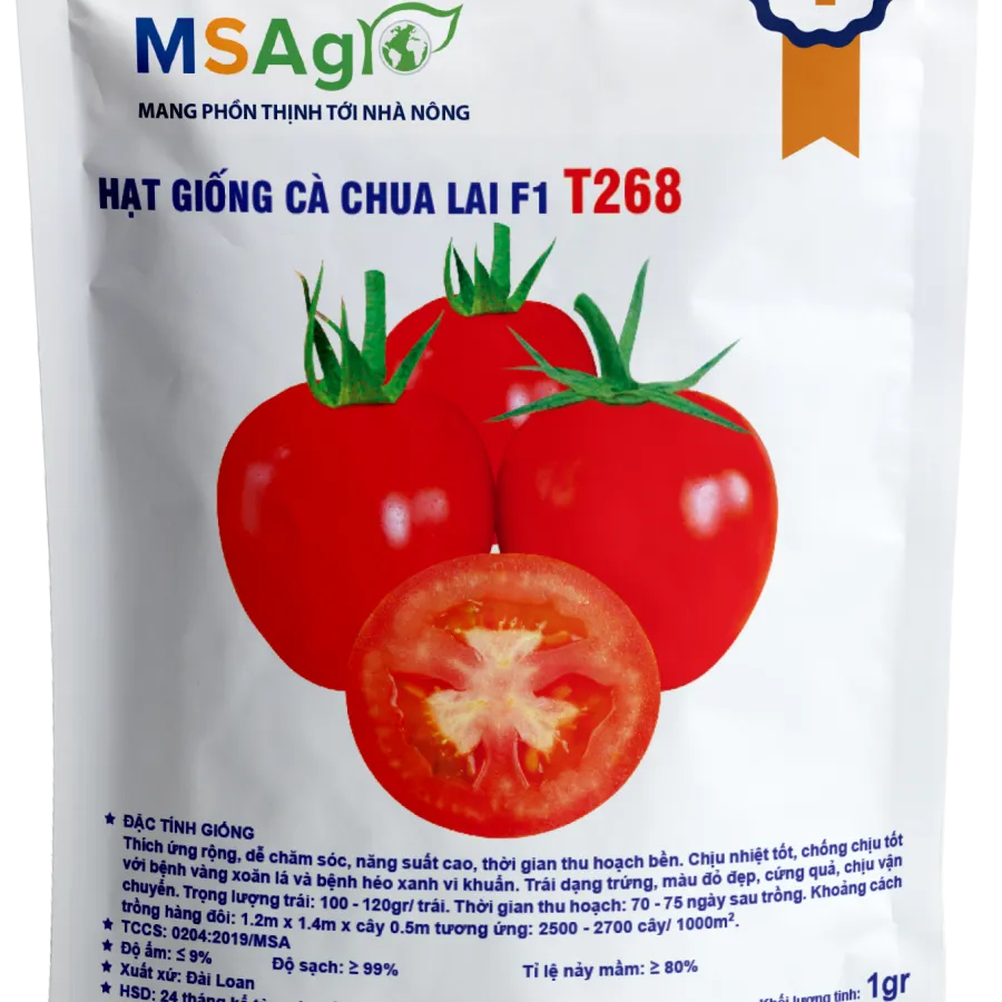 Hạt giống Cà chua chịu nhiệt F1 T268 - 1gr