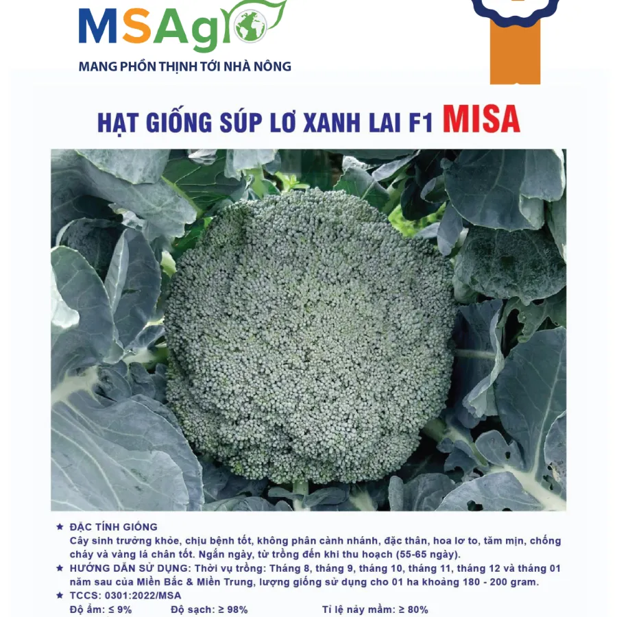 Hạt giống Lơ xanh chịu nhiệt F1 Misa - 2500 hạt