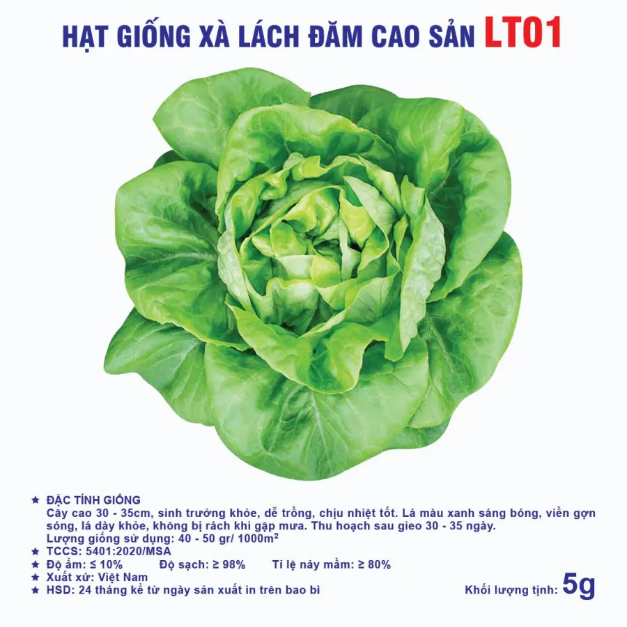 Hạt giống Xà lách đăm LT01