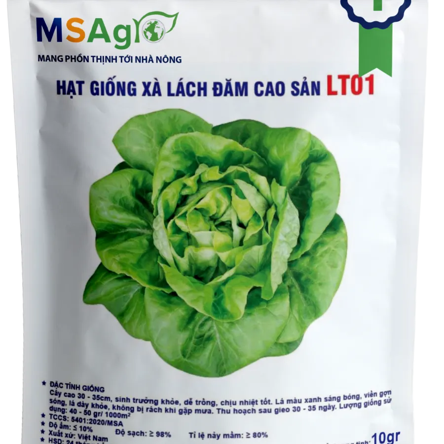 Hạt giống Xà lách đăm LT01 - 10gr