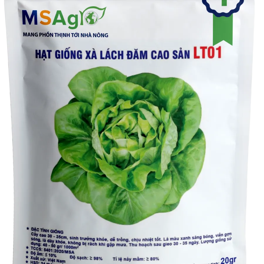 Hạt giống Xà lách đăm LT01 - 20gr