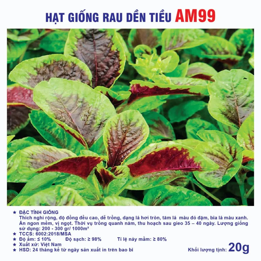Hạt giống Rau dền tiều AM99