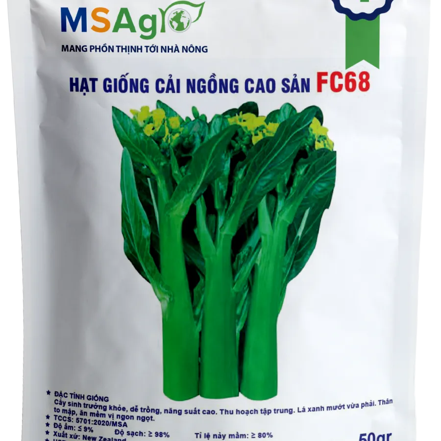 Hạt giống Cải ngồng FC68 - 50gr