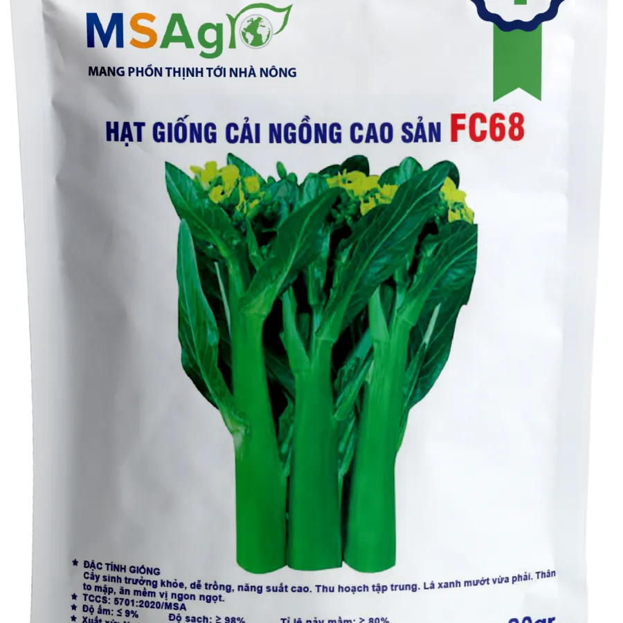 Hạt giống Cải ngồng FC68 - 20gr