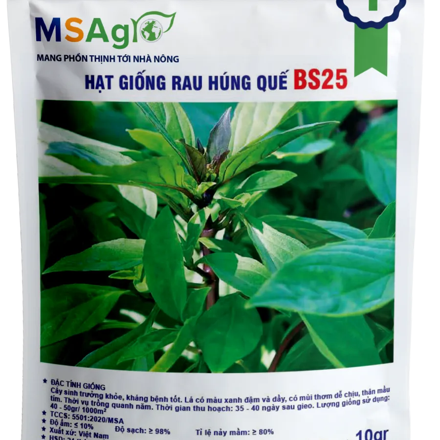 Hạt giống Húng quế  BS25 - 10gr