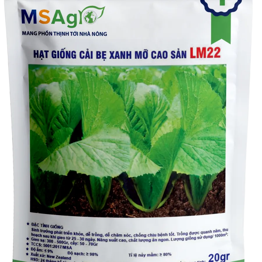 Hạt giống Cải xanh mỡ LM22 - 20gr