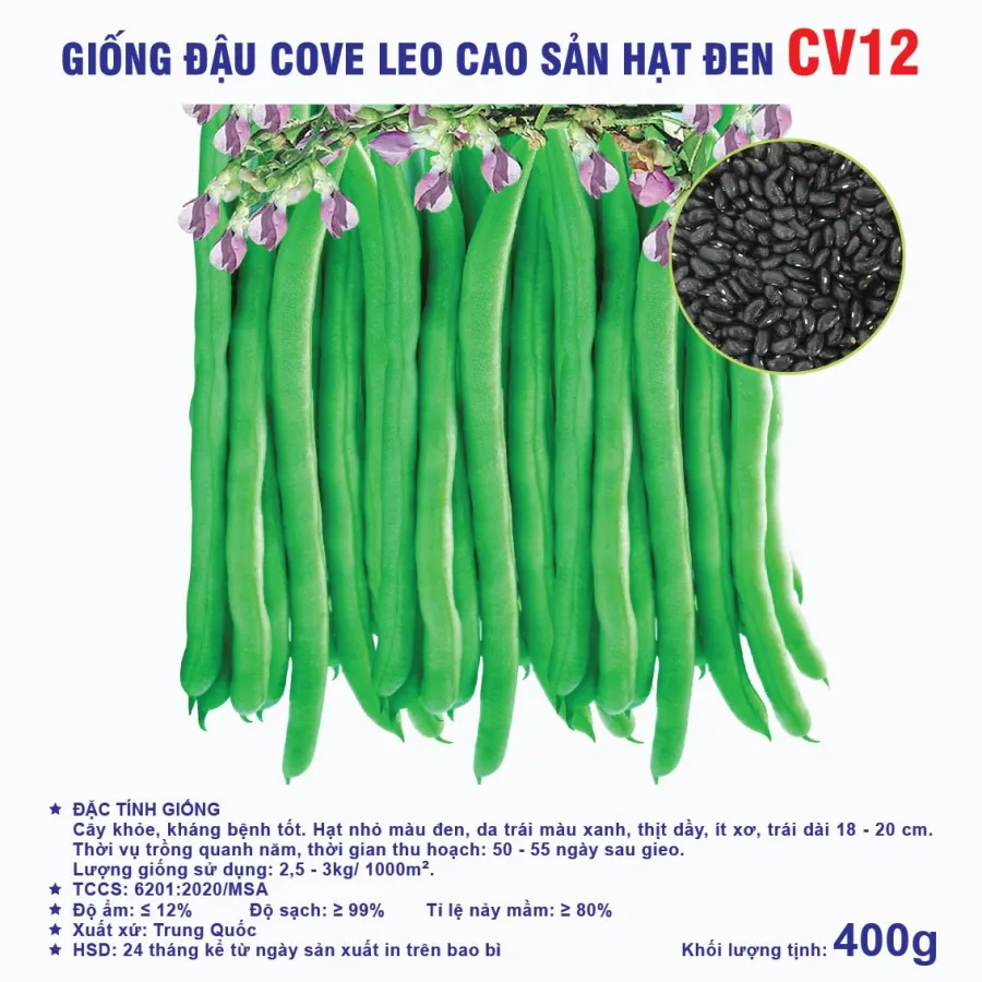 Hạt giống Đậu cove leo cao sản hạt đen CV12