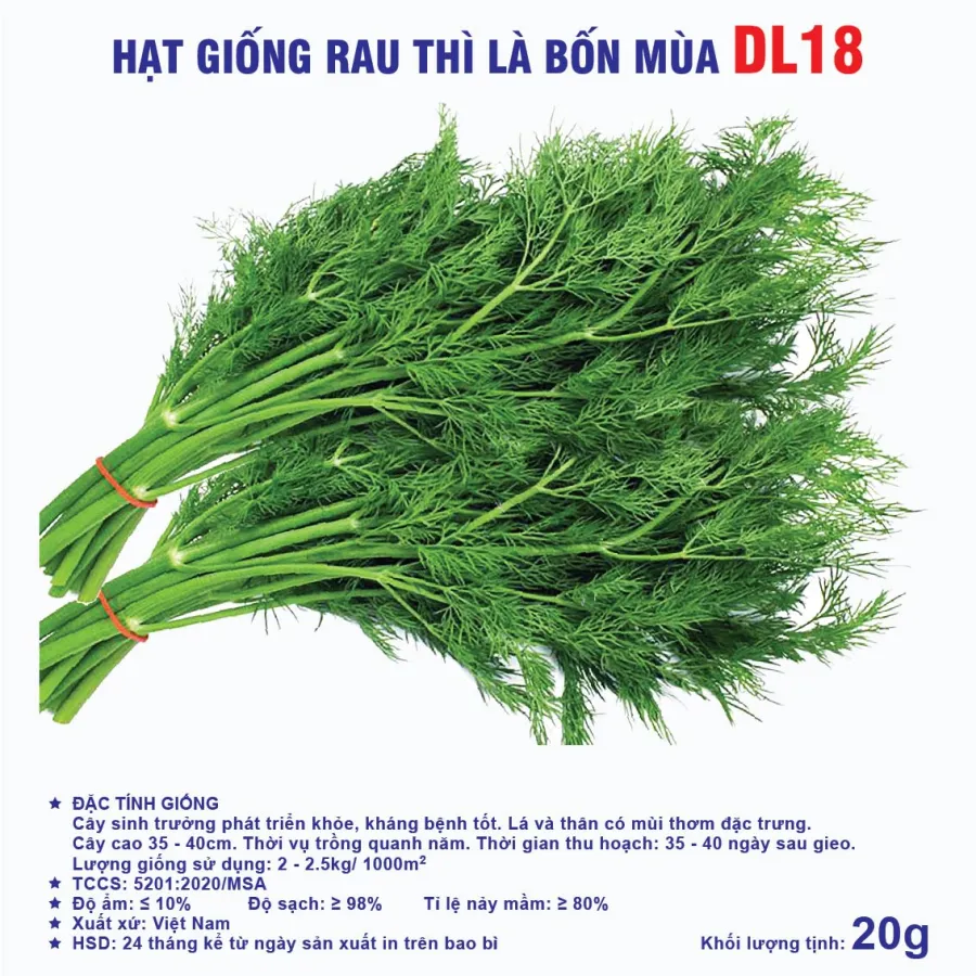 Hạt giống Thì là bốn mùa DL18