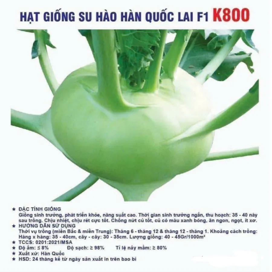 Hạt giống su hào Hàn Quốc lai F1 K800