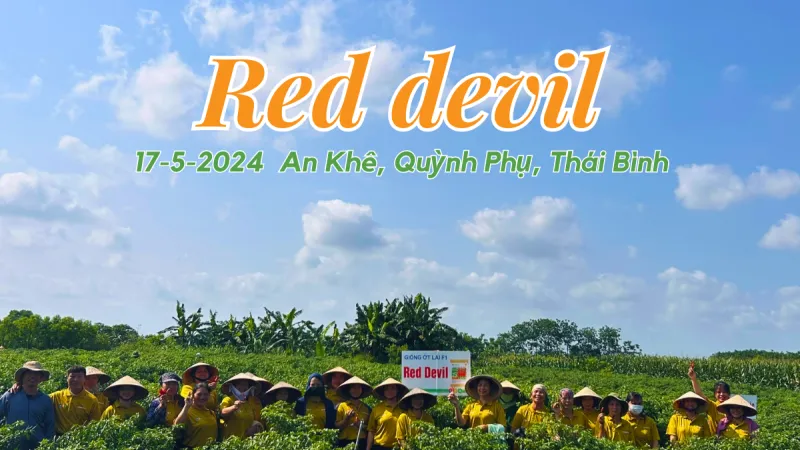 Bà con An Khê hội tụ cùng đánh giá ớt Red Devil