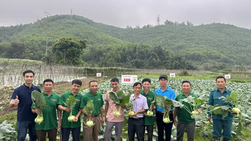 Hội thảo giới thiệu sản phẩm su hào K800 tại Hàm Yên Tuyên Quang