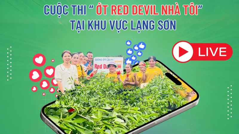 Phát động cuộc thi ” Ớt Red Devil Nhà Tôi” tại Khu Vực Lạng Sơn