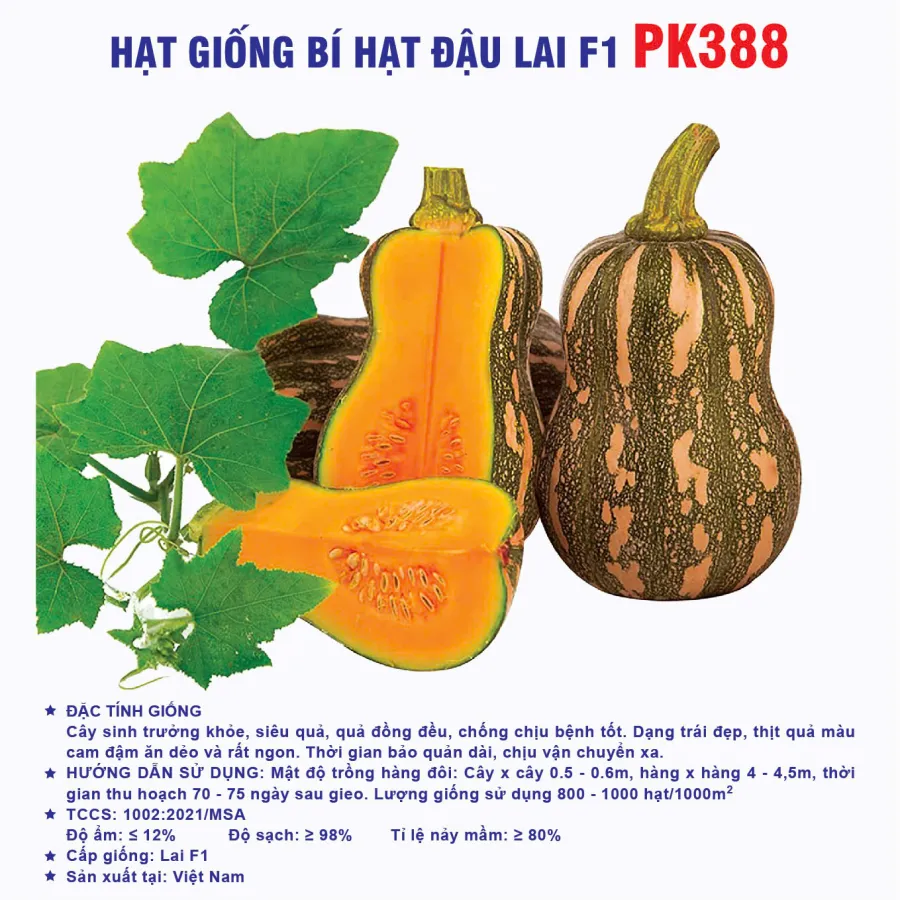 Hạt giống Bí đậu F1 PK388